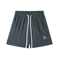 Mesh Ghost Peak Drawstring Shorts (5 Colors)